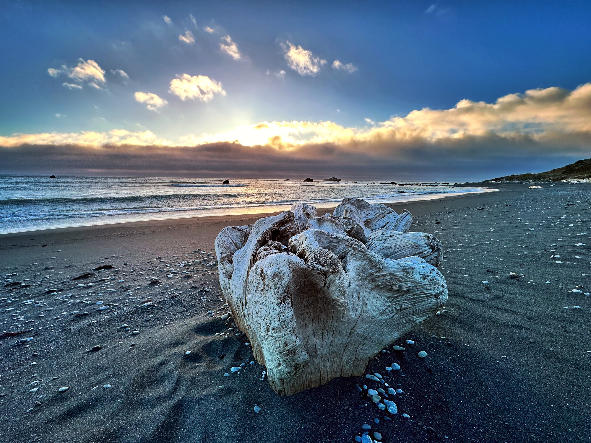 A massive weathered driftwood log on a remote black sand beach at sunset with dramatic storm clouds